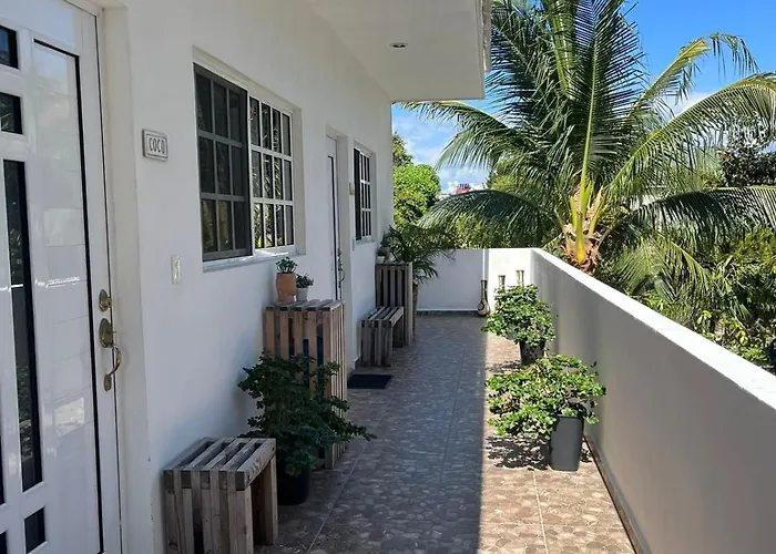 Coco Centrico
