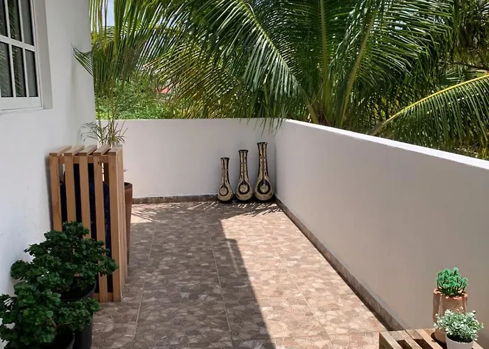 Coco Centrico Cozumel
